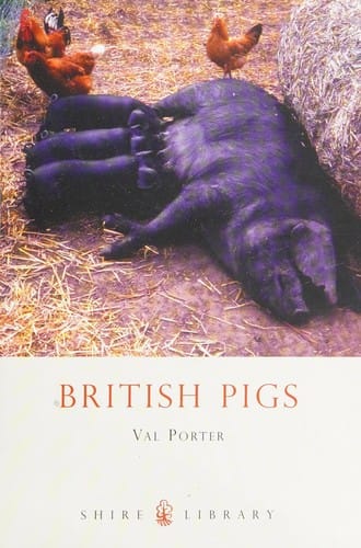 British pigs
