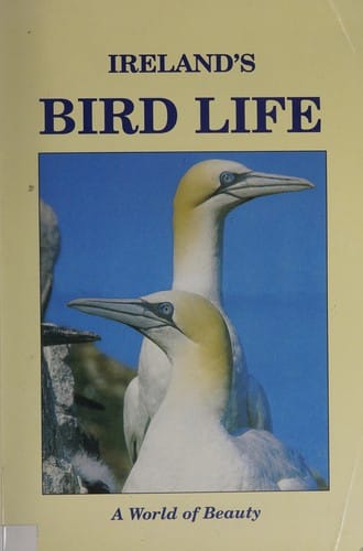 Ireland's bird life