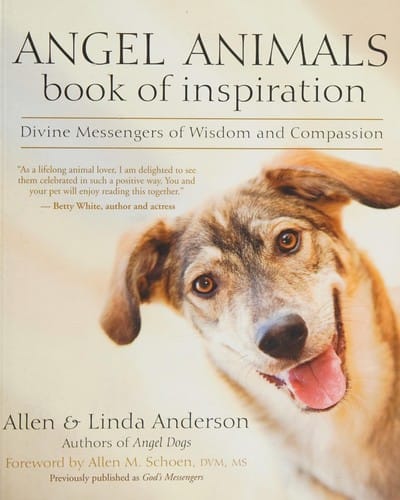Angel animals book of inspiration