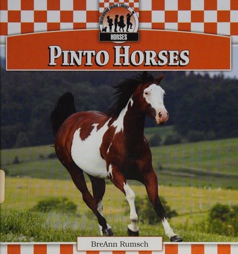 Pinto horses