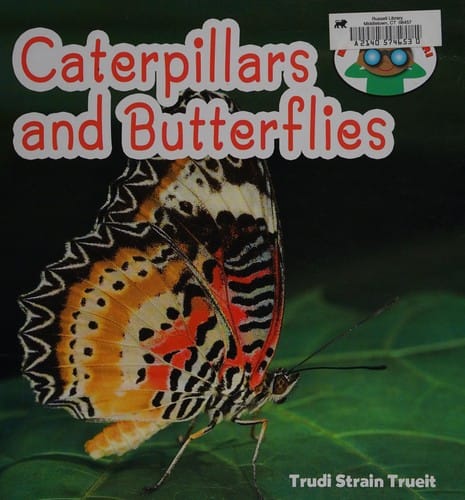 Caterpillars and butterflies