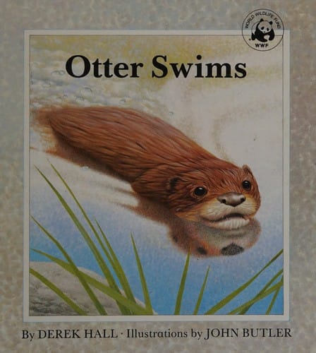 Otter swims
