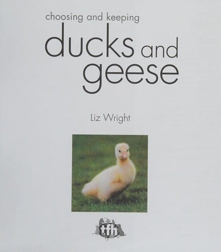 Choosing and keeping ducks and geese