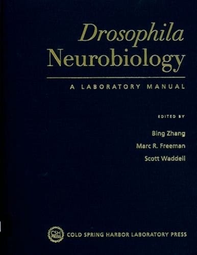 Drosophila neurobiology