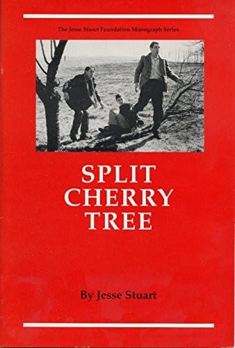 Split cherry tree