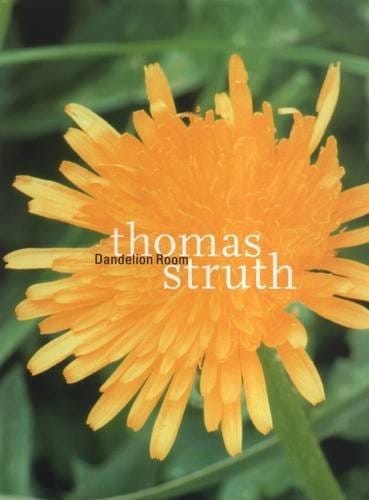Thomas Struth - the Dandelion Room