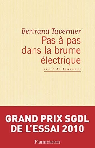 Pas à pas dans la brume électrique