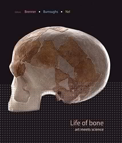 Life of bone
