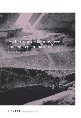 Esthétique de la poussière, une entrée en matière