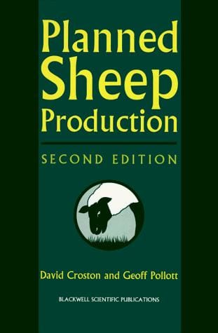 Planned sheep production
