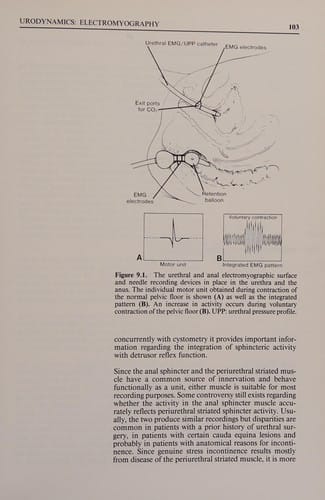 Gynecologic urology and urodynamics