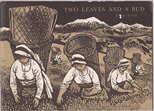 Two leaves and a bud