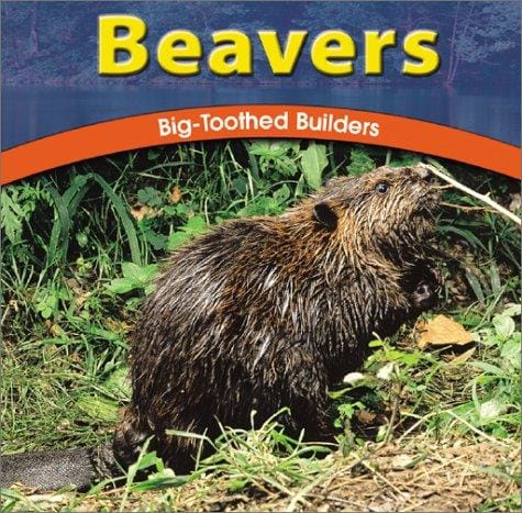 Beavers