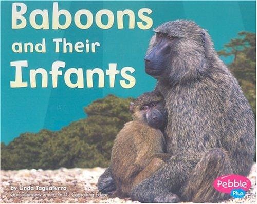 Baboons and Their Infants