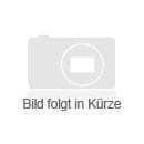 Die Grenzen der Musik und Poesie