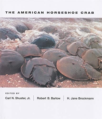 The American horseshoe crab