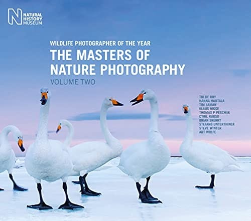 Wildlife photographer of the year