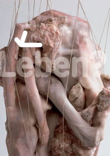 Leben?