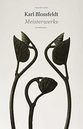 Karl Blossfeldt