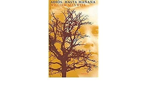 Adios - Hasta Manana