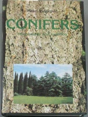 Conifers
