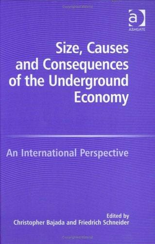 Size, causes and consequences of the underground economy