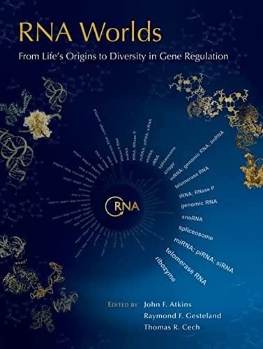RNA worlds