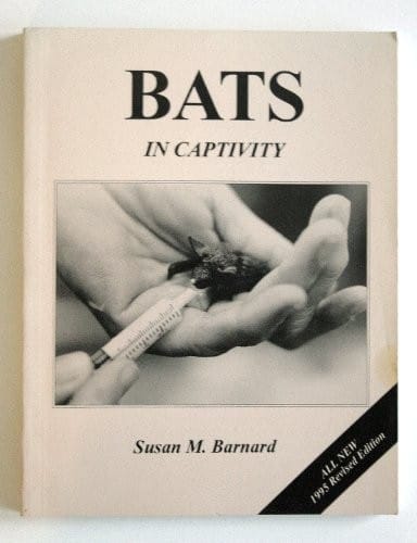 Bats in Captivity