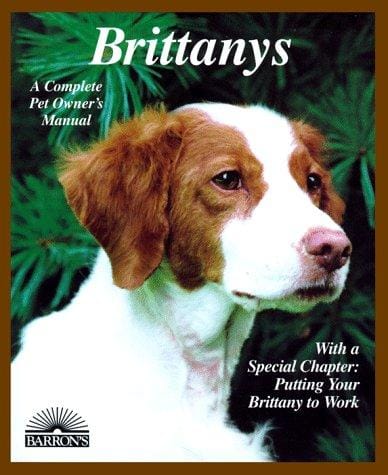 Brittanys