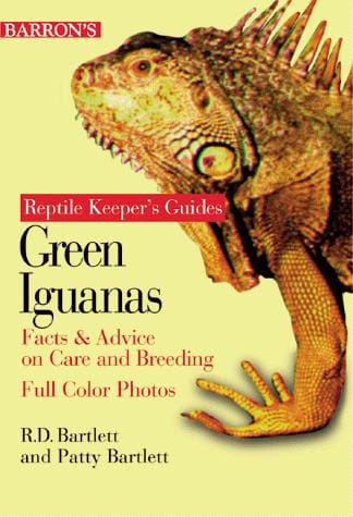 Green iguanas