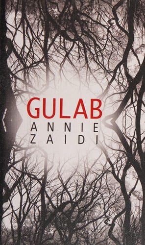 India's Afghan muddle