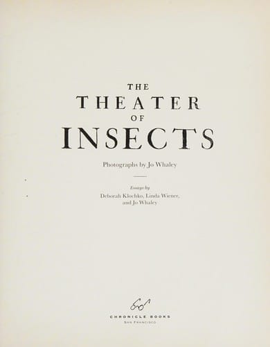 The theater of insects