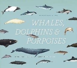 Whales, dolphins & porpoises