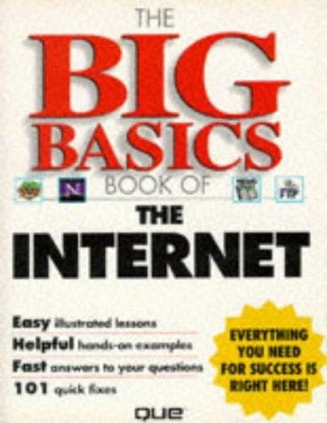 The big basics book of the Internet