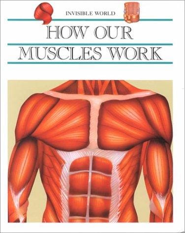 How our muscles work