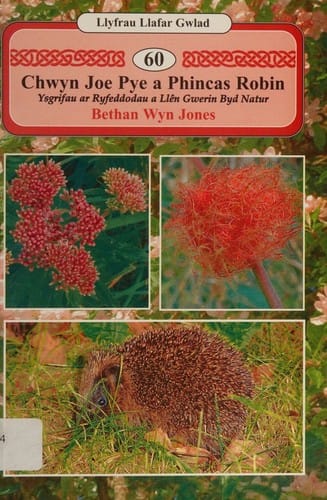 Chwyn Joe Pye a Phincas Robin