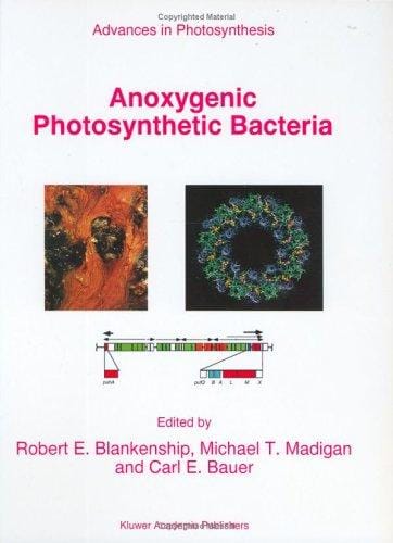 Anoxygenic photosynthetic bacteria
