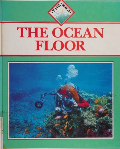 The ocean floor