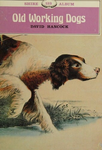 Old working dogs