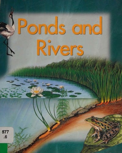 Ponds and rivers