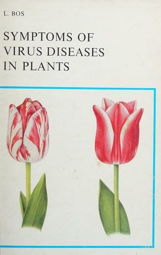 Symptoms of virus diseases in plants