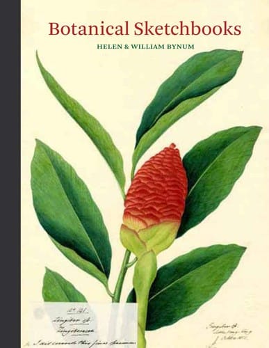Botanical sketchbooks