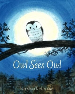 Owl sees owl
