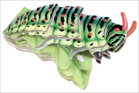 Caterpillar