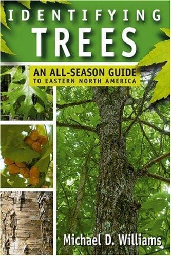 Identifying Trees