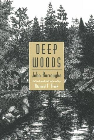 Deep woods