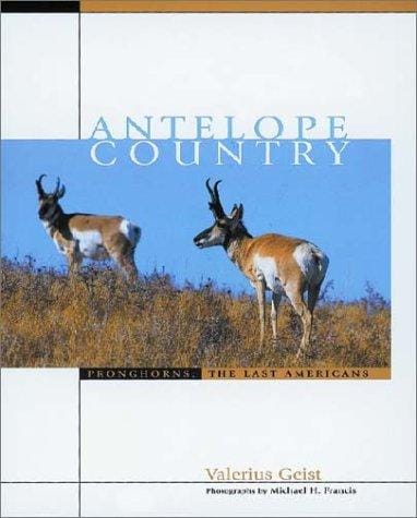 Antelope Country