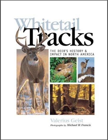 Whitetail tracks