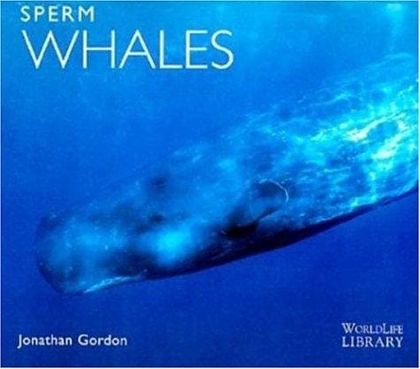Sperm whales