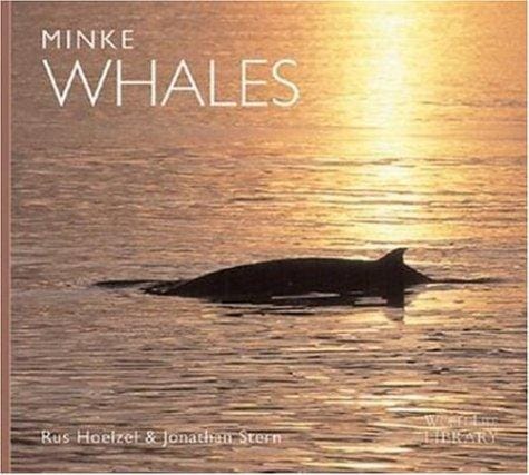 Minke whales